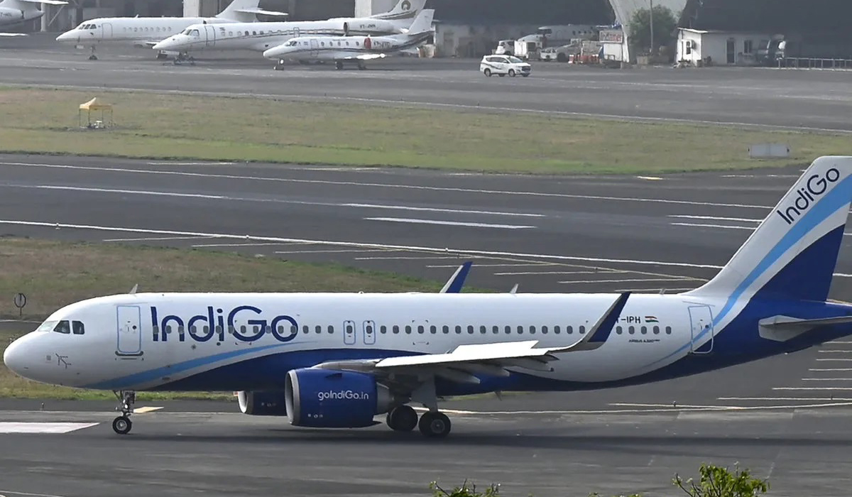 Indigo flight